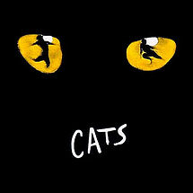 Cats the musical on tour